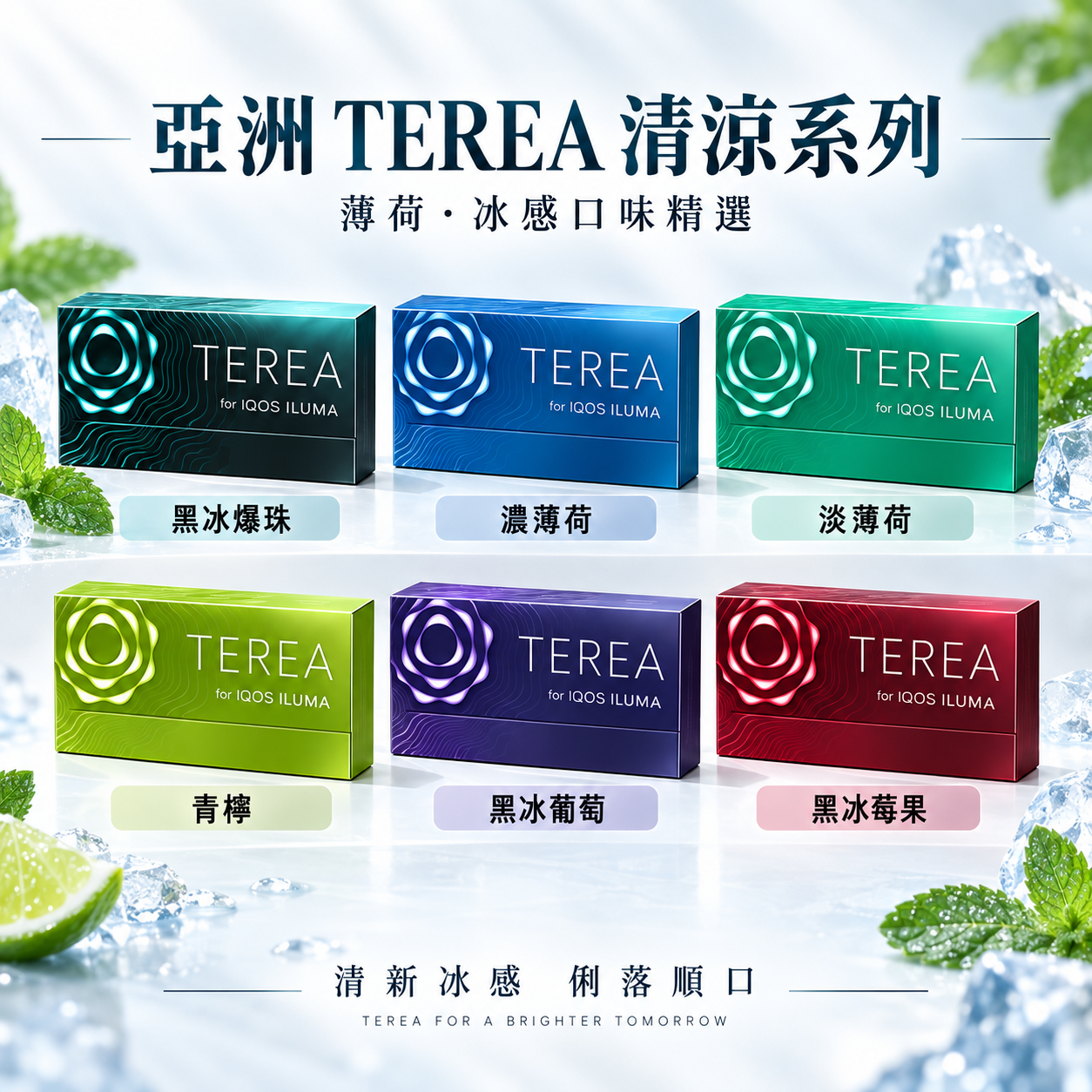 IQOS TEREA 煙彈｜細節與做工特寫